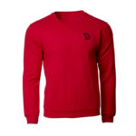 Sweat Shirts_596_pic_3